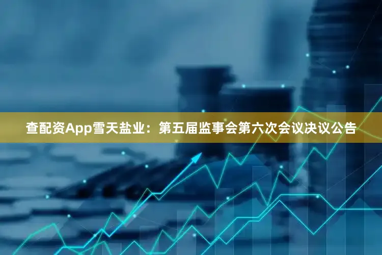 查配资App雪天盐业：第五届监事会第六次会议决议公告