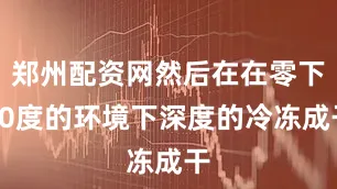 郑州配资网然后在在零下60度的环境下深度的冷冻成干