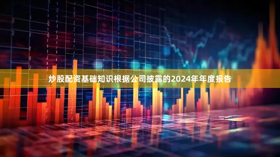 炒股配资基础知识根据公司披露的2024年年度报告