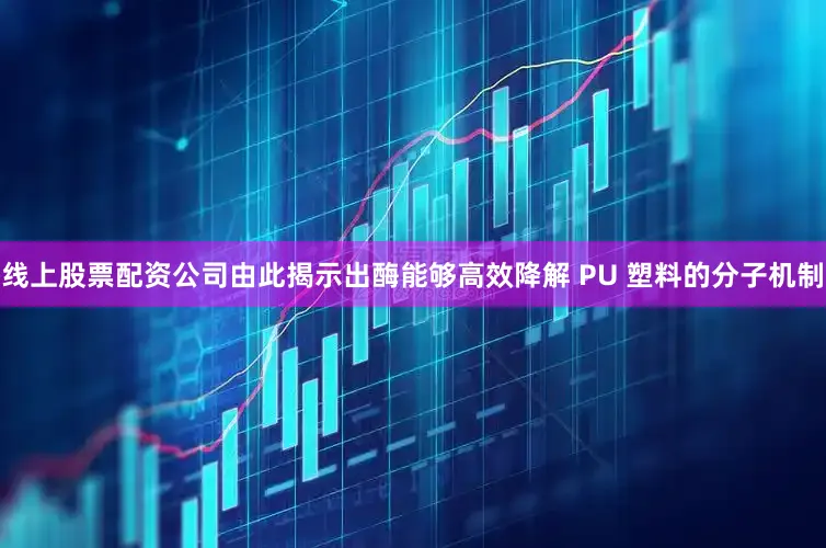线上股票配资公司由此揭示出酶能够高效降解 PU 塑料的分子机制